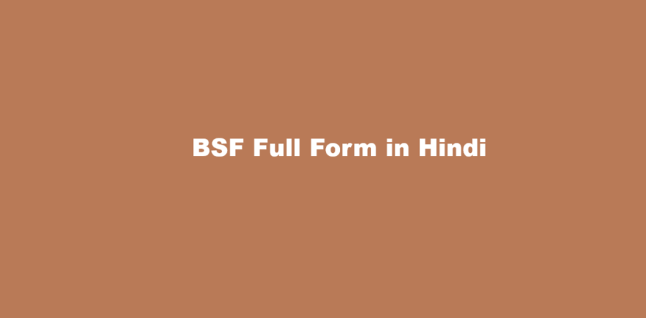 bsf full form in hindi