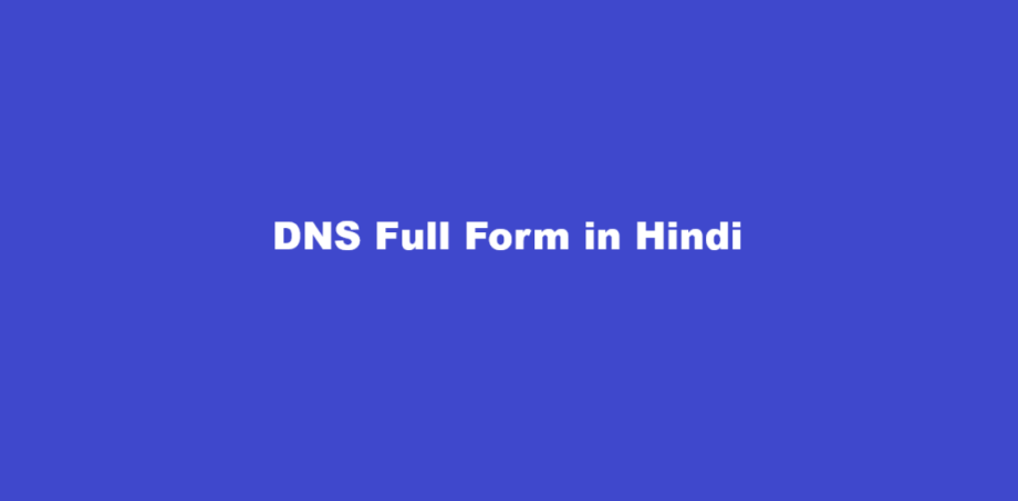 dns full form medical term in hindi