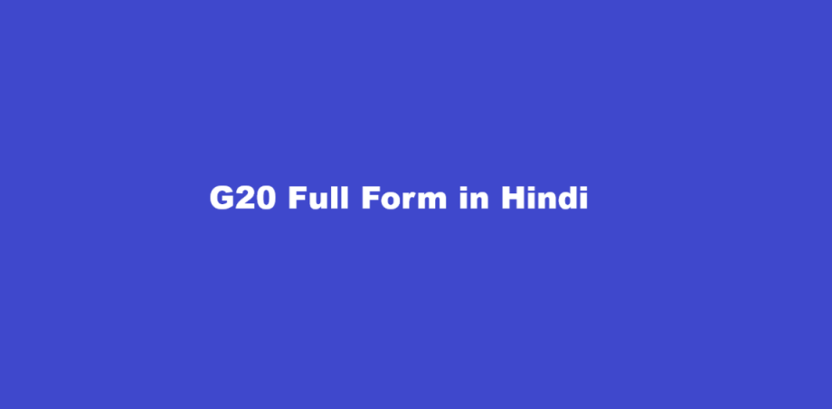 g20 full form in hindi