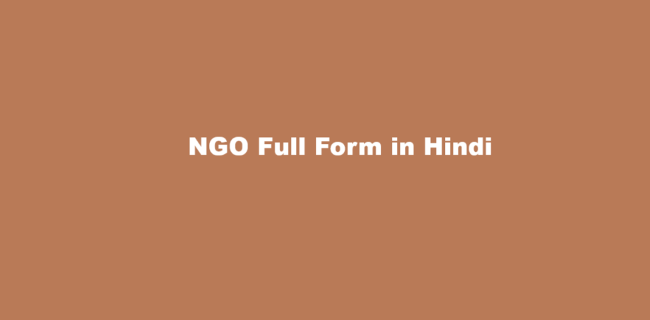 ngo full form in hindi