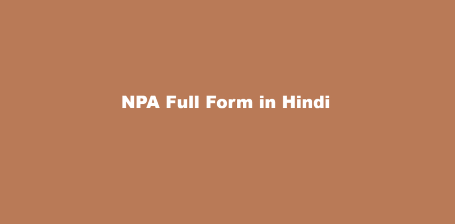npa full form in hindi