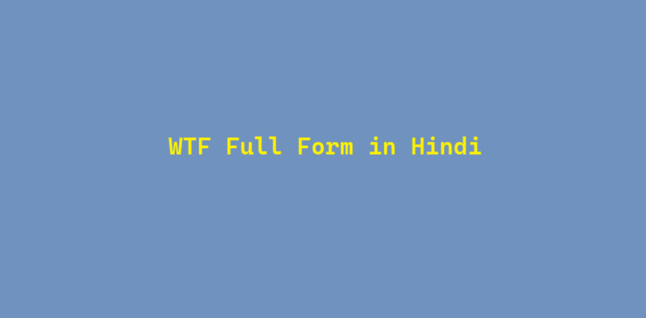 wtf full form in hindi
